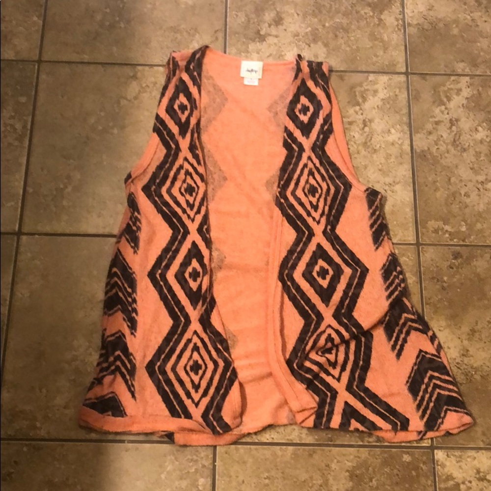 Day trip vest